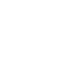 globe icon